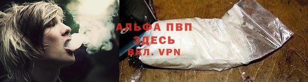 apvp Алексин