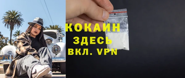 apvp Алексин