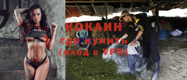 apvp Алексин