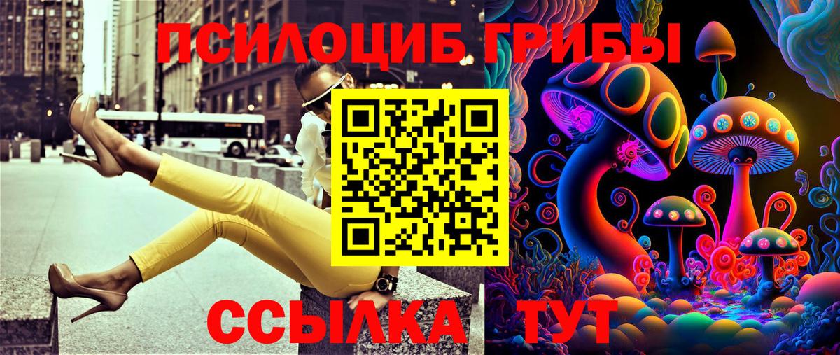 Псилоцибиновые грибы ЛСД  Псилоцибиновые грибы MAGIC MUSHROOMS  Ачинск  Вход с VPN 